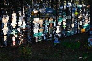 Przeróżne szyldy w Sign Post Forest, Watson Lake