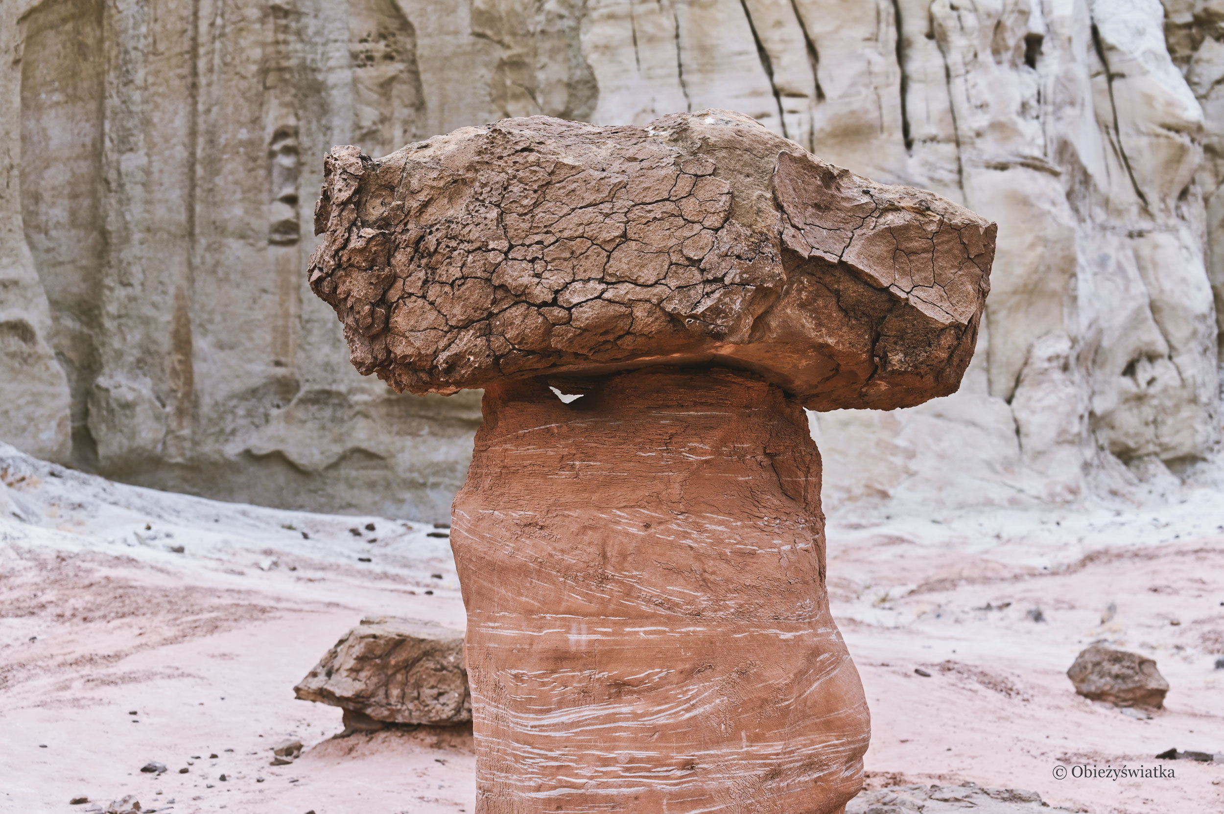 Kamienny grzyb, Hoodoos, Toadstools Trail, Utah