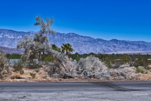 Krajobraz Borrego Springs, USA