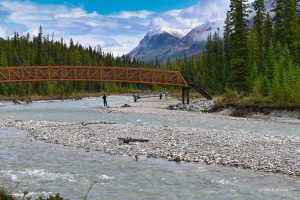 W Parku Narodowym Kootenay, Kanada