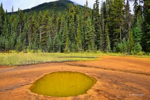 Oczko - Kolorowe jeziorka w Parku Narodowym Kootenay, Kanada