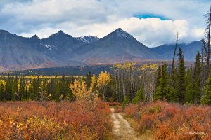 Jesienią w Parku Narodowym Kluane, Kanada