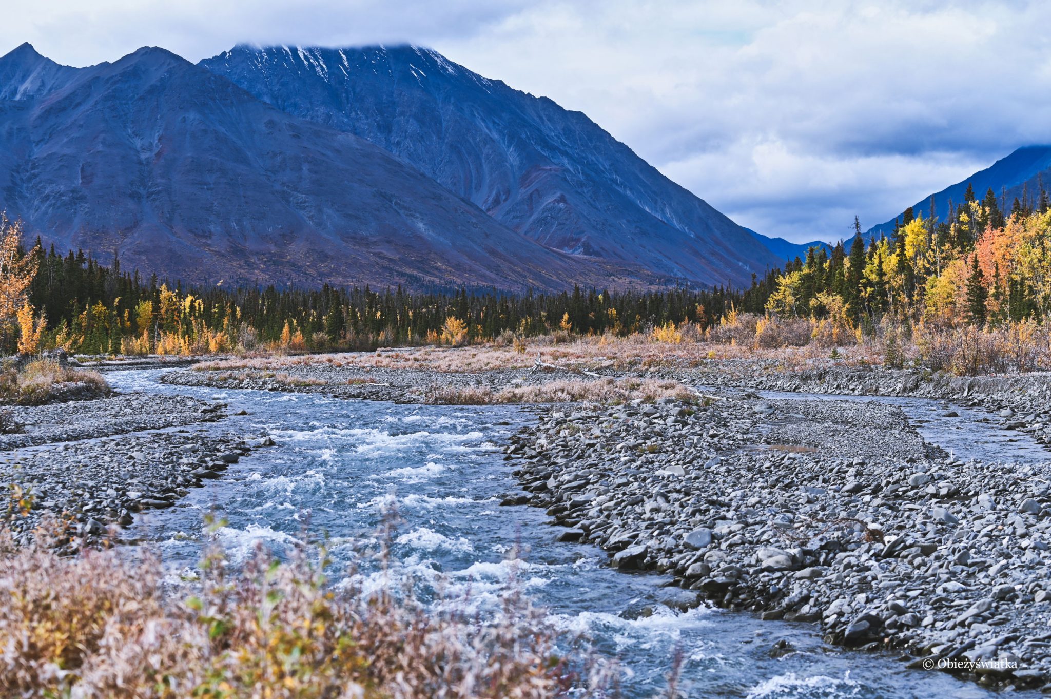 kluane-w-parku-narodowym-najwy-szych-g-r-kanady-zapiski-obie-y-wiatki
