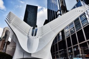 Charakterystyczna szkieletowa konstrukcja projektu Calatravy, NYC