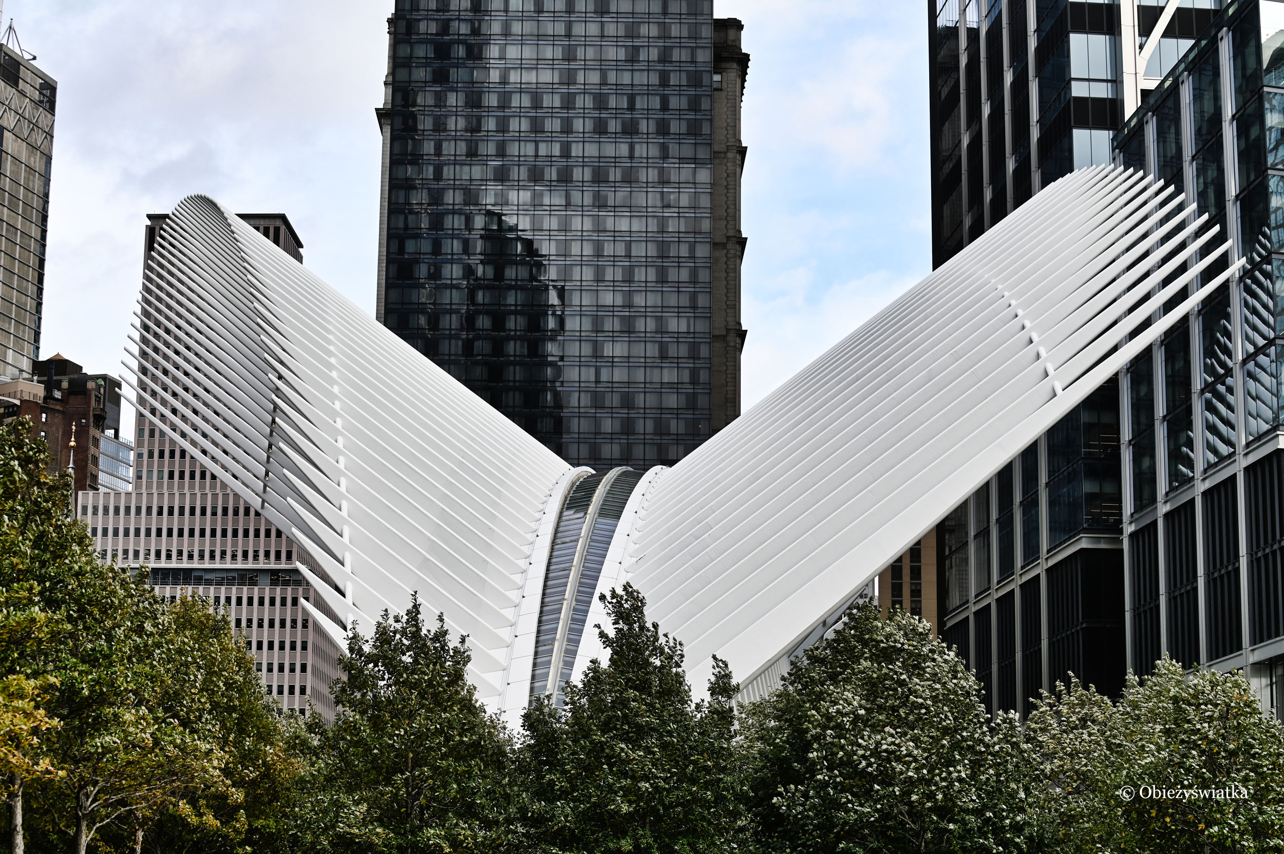 Nowy Jork i szkieletor projektu Santiago Calatravy
