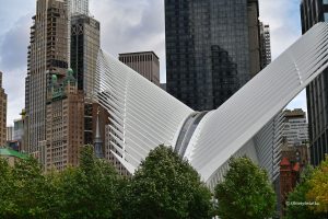 Szkieletowa konstrukcja dachu stacji metra przy World Trade Center, Nowy Jork