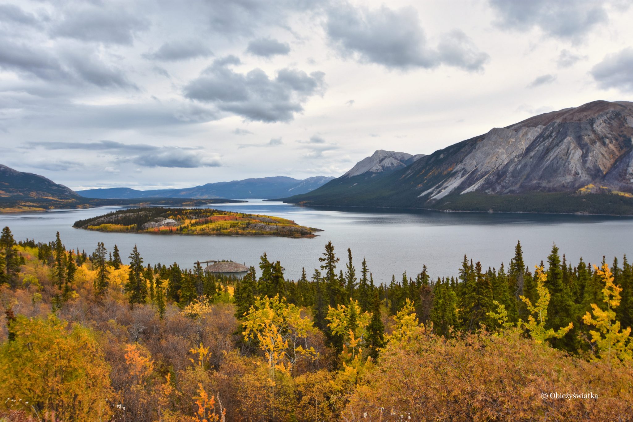 Bove Island Tagish Lake Kanada Zapiski Obie y wiatki bove-island-tagish-lake-kanada-zapiski-obie-y-wiatki