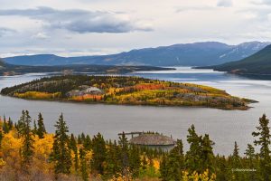 W kolorach jesieni - Bove Island, Tagish Lake, Kanada