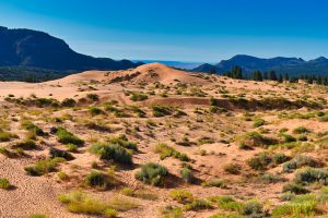 Wydmy i góry, Coral Pink Sand Dunes State Park, Utah