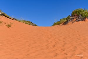Po horyzontu kres...., Coral Pink Sand Dunes State Park, Utah