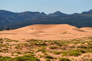 Niebo, wydmy i góry, Coral Pink Sand Dunes State Park, Utah