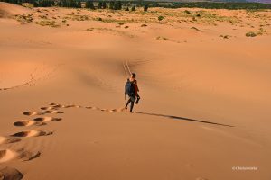 Wędrując przez koralowe wydmy, Coral Pink Sand Dunes State Park, Utah
