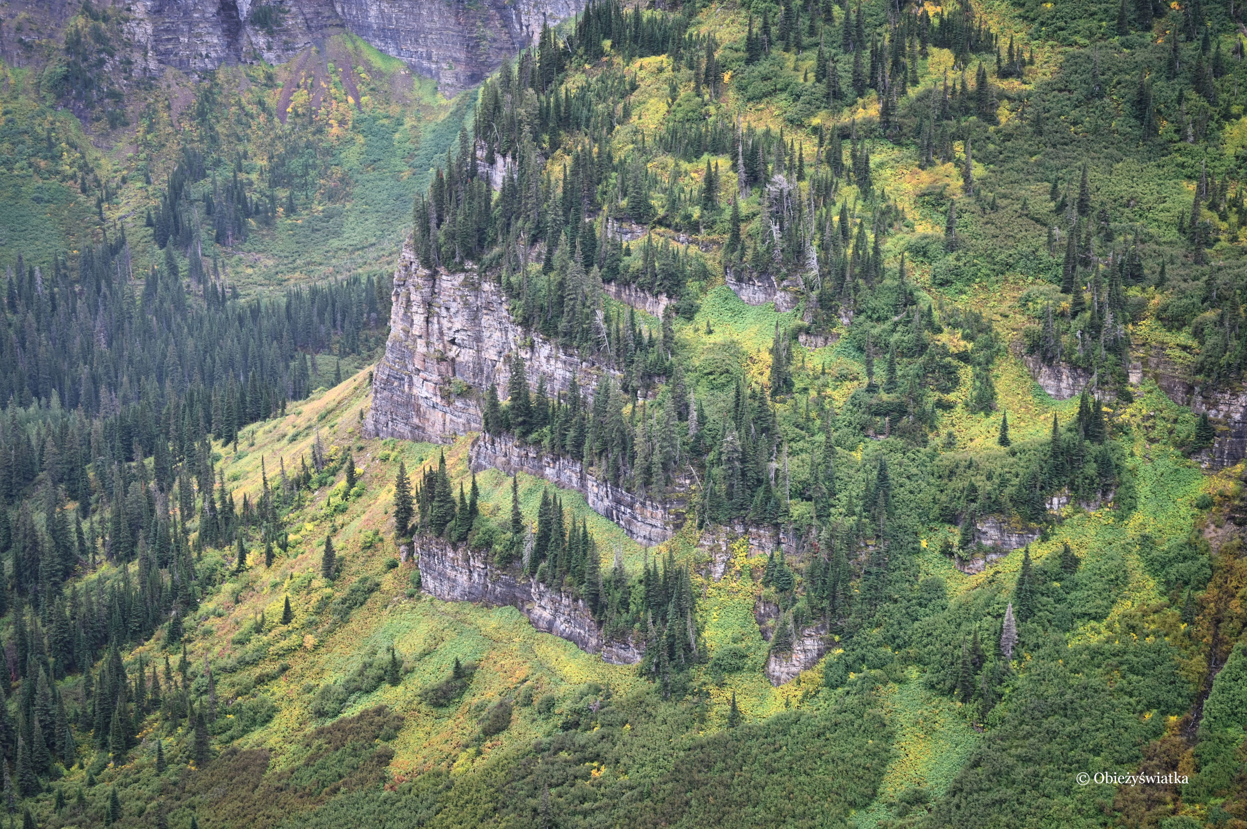 Rocky Mountains/Góry Skaliste, Glacier National Park, USA