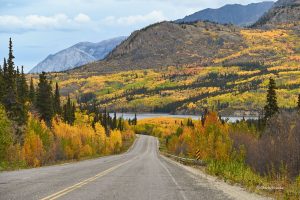 Góry, lasy w jesiennej szacie - Yukon, Klondike Highway, Kanada