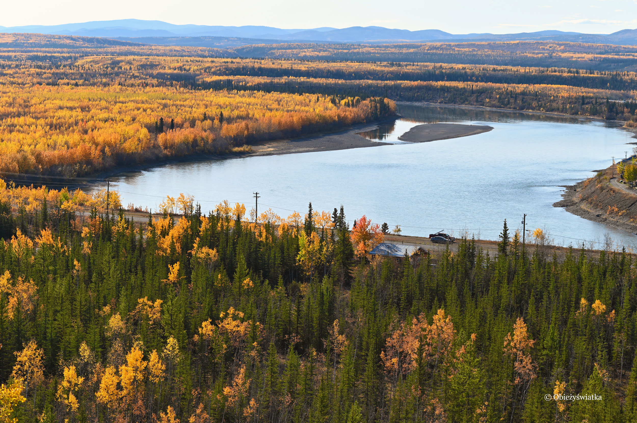 Jesień nad rzeką Yukon, Klondike Highway, Kanada