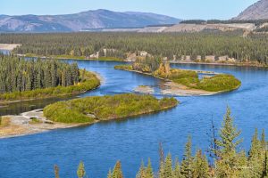 Rzeka Yukon widziana z Klondike Highway, Kanada