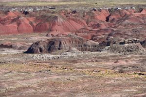 Na Pustyni Pstrej - Painted Desert, Arizona