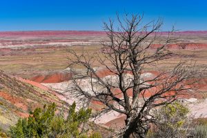 Pustynia - Painted Desert, Arizona
