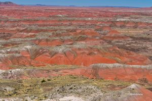 Painted Desert w Arizonie