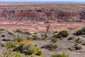 Pustynny krajobraz - Painted Desert, Arizona