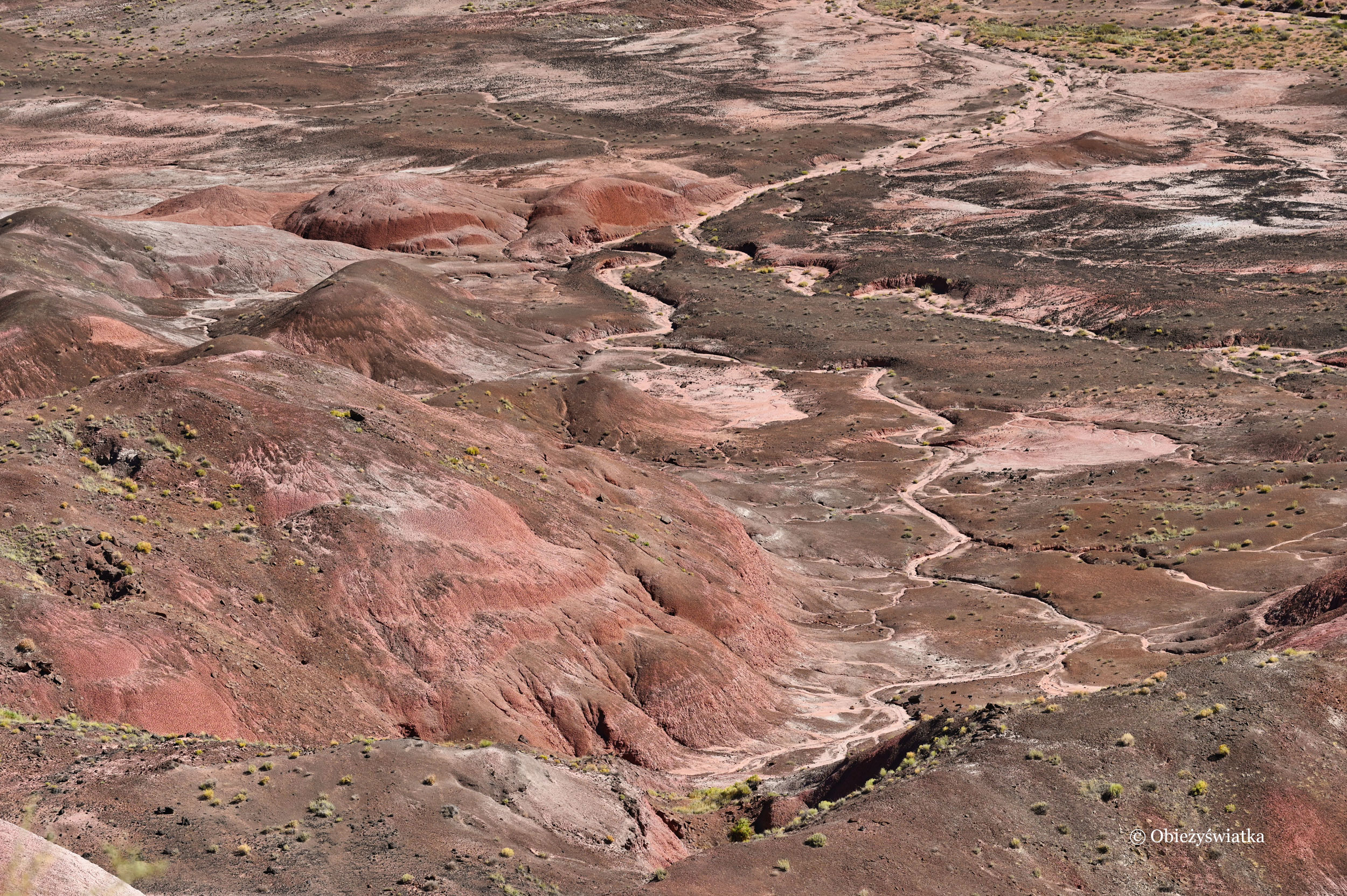 Kolorowo na pustyni - Painted Desert, Arizona