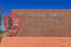 Petrified Forest National Park, Arizona