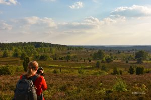 Wędrując przez Lüneburger Heide, Niemcy