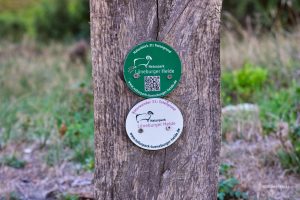 Szyldy, Lüneburger Heide, Niemcy