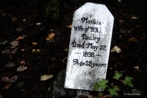 Jedna z tablic na cmentarzu w Skagway, Alaska - Gold Rush Cemetery
