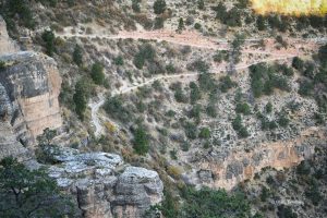 Grand Canyon i Bright Angel Trail
