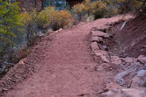 Czerwona ziemia - szlak North Kaibab Trail, Grand Canyon, Arizona