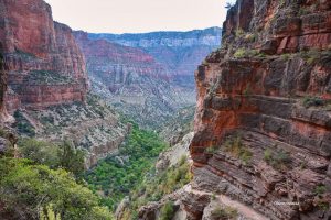 Widok na Wielki Kanion rankiem, North Kaibab Trail, Grand Canyon