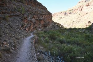 North Kaibab Trail - przed południem