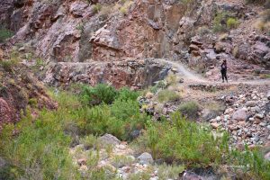 Droga jest przepiękna i fotogeniczna - North Kaibab Trail, Grand Canyon