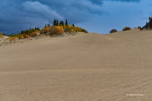Pustynia Carcross, Yukon, Kanada