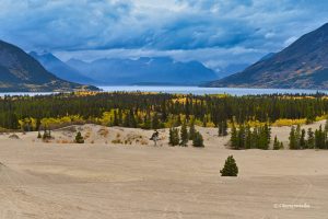 Góry, chmury, jezioro, piasek.... - Carcross Desert, Yukon, Kanada