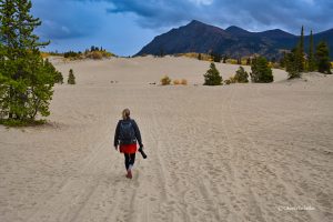 Wędrując przez Pustynię Carcross, Yukon, Kanada