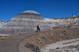 Wędrując przez niesamowity krajobraz Blue Mesa, Petrified Forest National Park