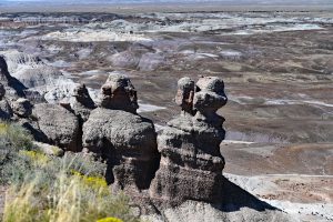 Blue Mesa - lila, brąz, biel... Petrified Forest National Park