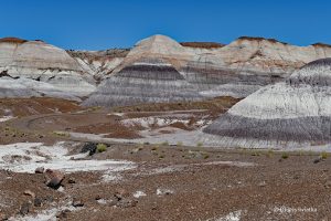 Księżycowy krajobraz, Blue Mesa, Petrified Forest National Park