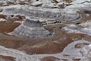 Wszystkie odcienie ziemi... - Blue Mesa, Petrified Forest National Park