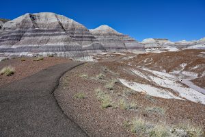 W sercu Blue Mesa, Petrified Forest National Park
