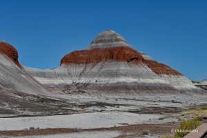 Rudości, brąze i szarości - Blue Mesa, skały w kształcie tipi, Petrified Forest National Park