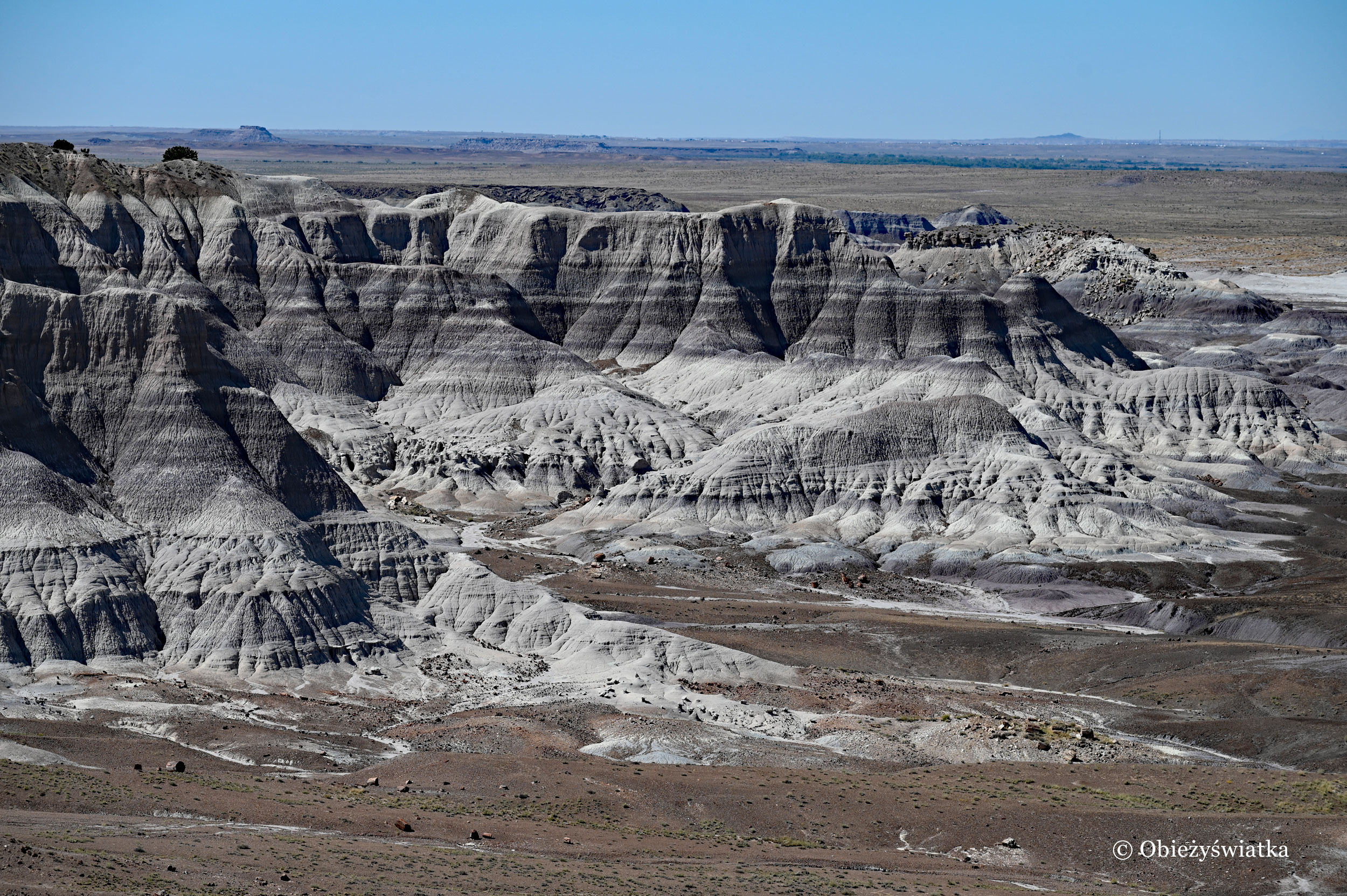 Niesamowite formacje skalne - Blue Mesa, Petrified Forest National Park