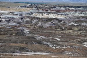 Lila.... - Blue Mesa, Petrified Forest National Park