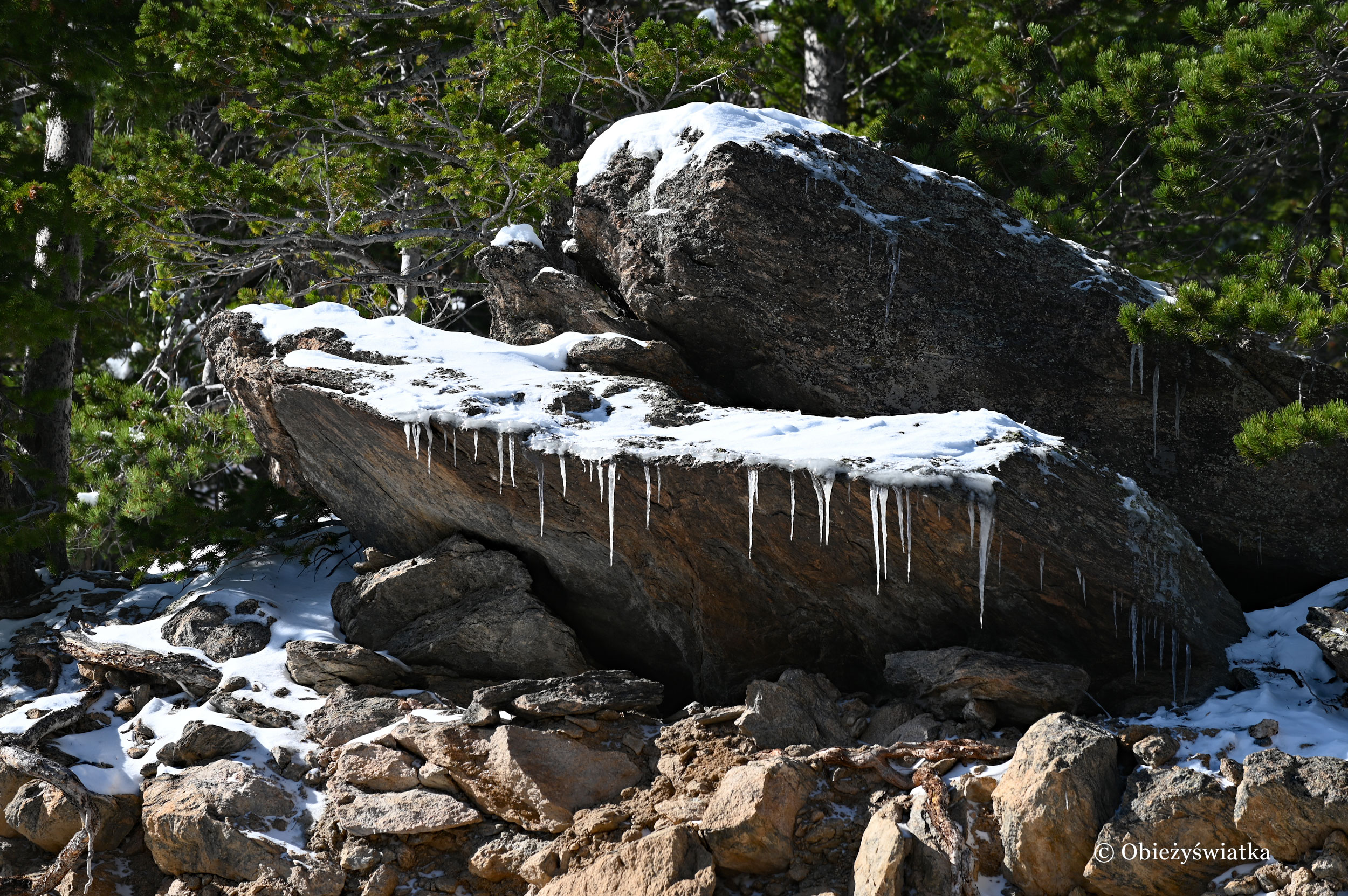 Sople lodu, Rocky Mountain National Park, Kolorado
