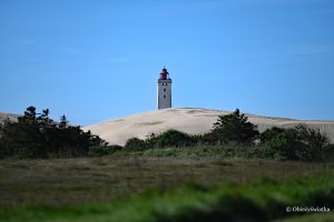 Rubjerg Knude Fyr w wydmach, Dania