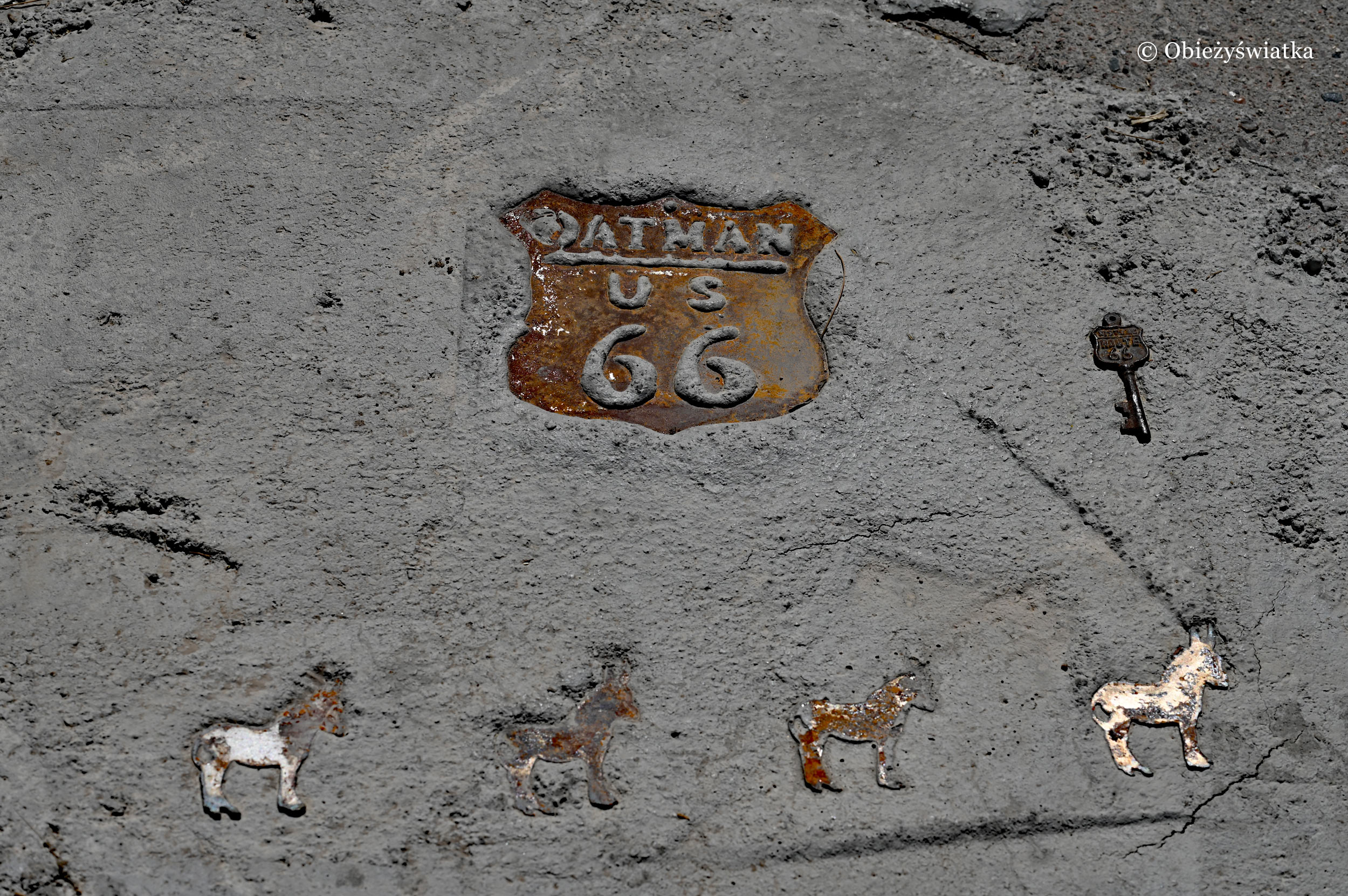 Route 66 i osiołki, Oatman, Arizona