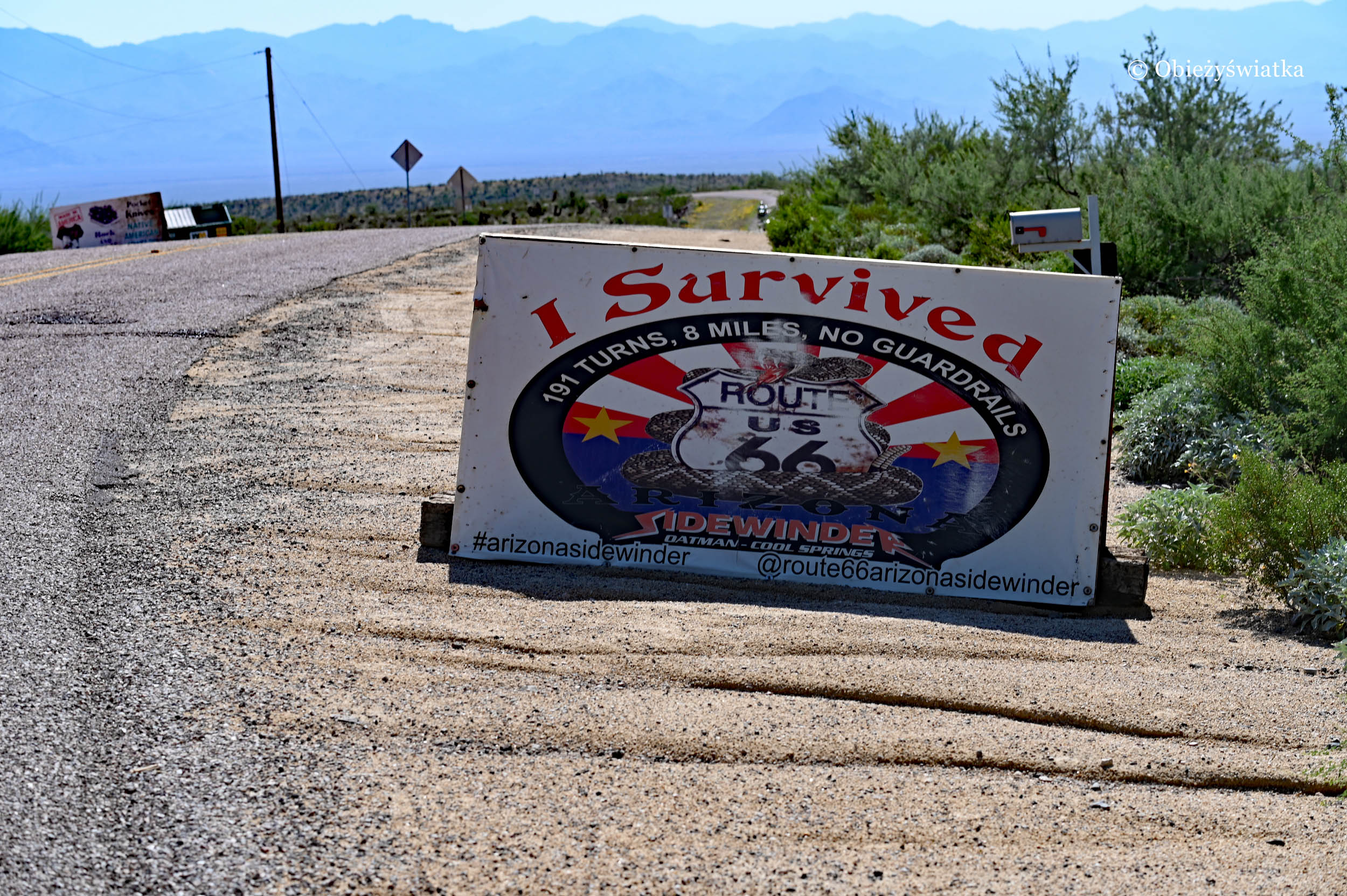 I survived! - Oatman Highway, Arizona