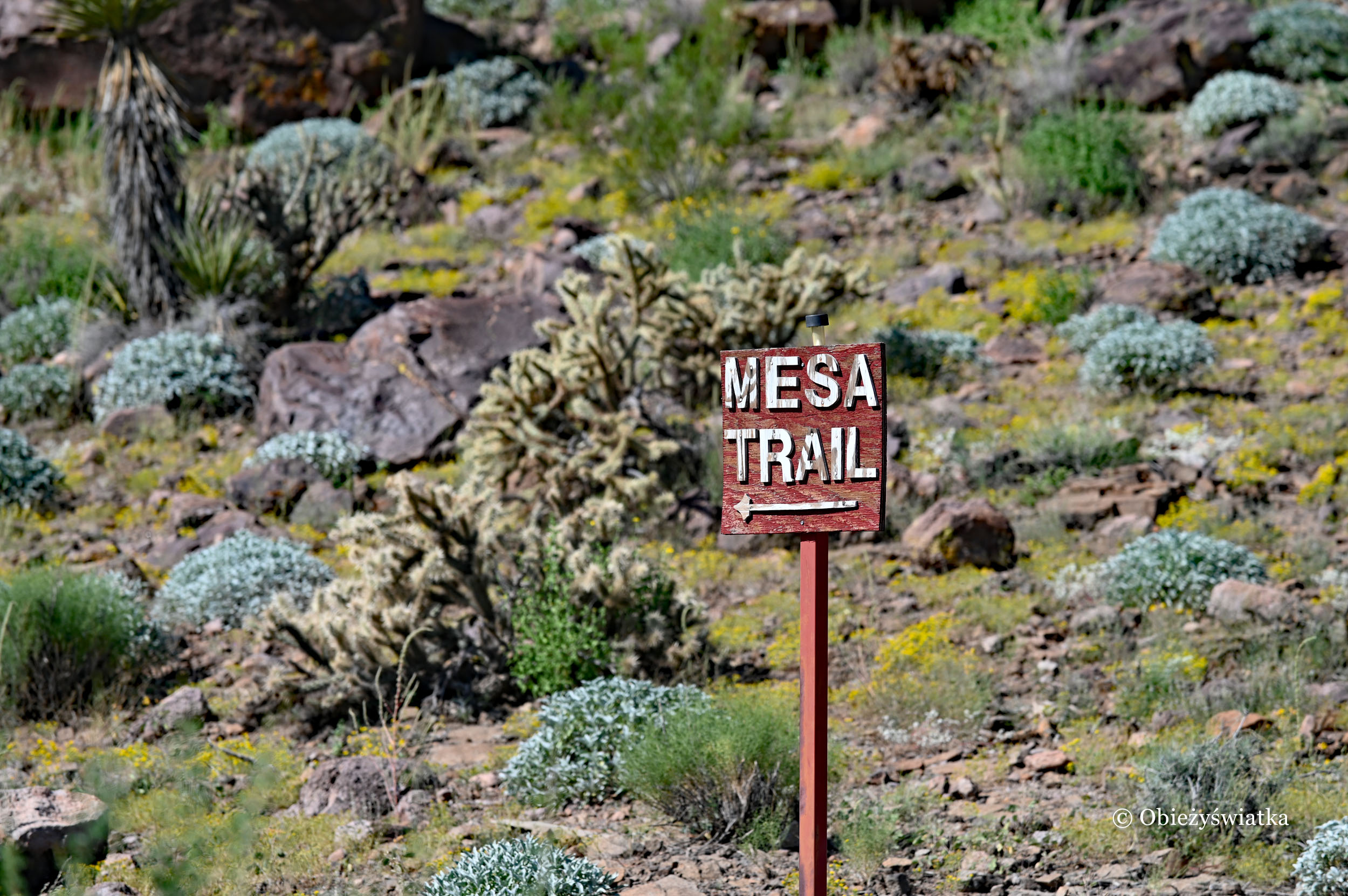 Mesa Trail, Oatman Highway